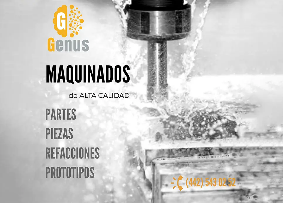 GENUS Galeria Foto